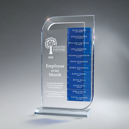 Clear Lucite Perpetual Award - 12